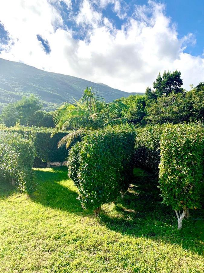 Ninho Cagarras Homestay Santo Amaro (Azores)