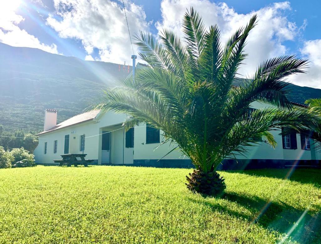 Homestay Ninho Cagarras