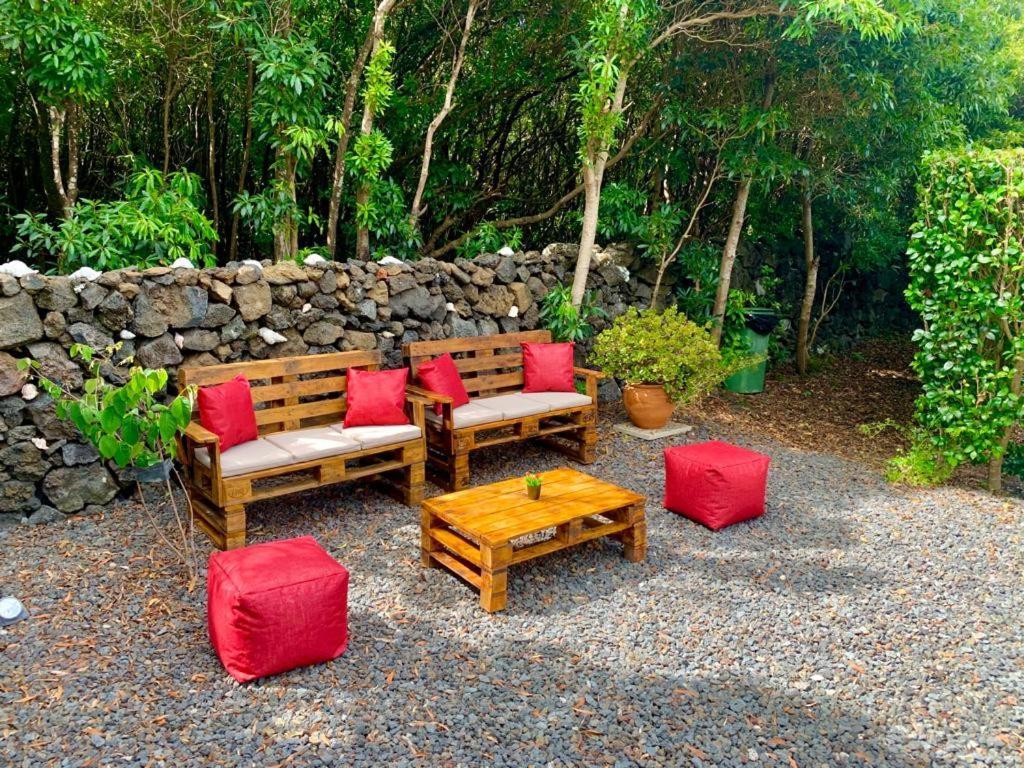 Ninho Cagarras Santo Amaro (Azores)