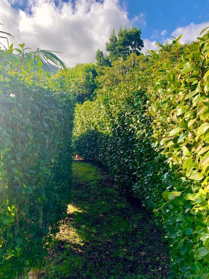 Homestay Ninho Cagarras Santo Amaro (Azores)