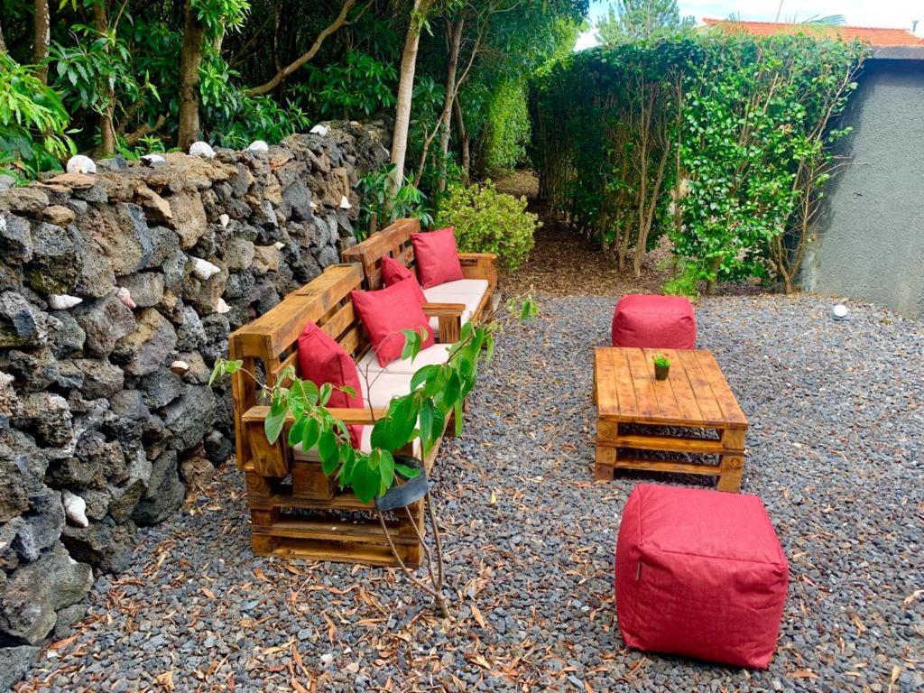 Ninho Cagarras Santo Amaro (Azores)