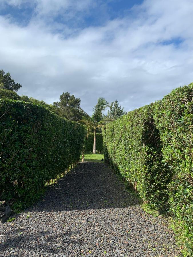 Homestay Ninho Cagarras Santo Amaro (Azores)