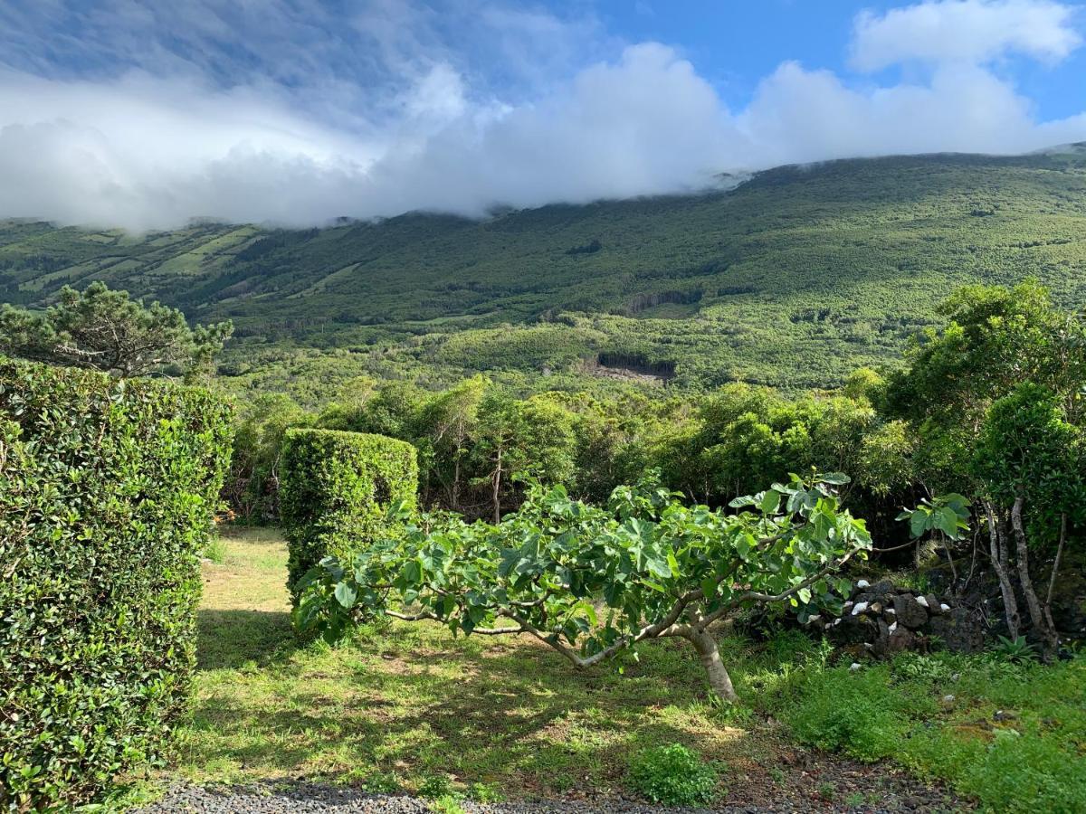 Ninho Cagarras Homestay Santo Amaro (Azores)