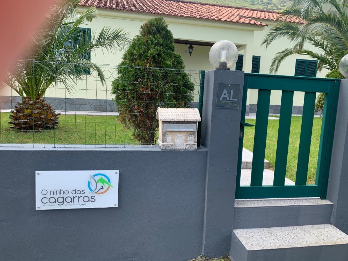 Ninho Cagarras