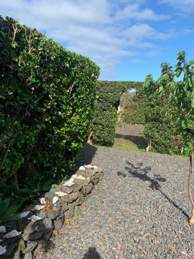 Ninho Cagarras * Santo Amaro (Azores)