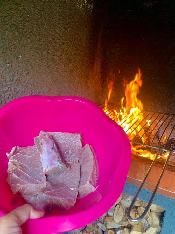 Ninho Cagarras Homestay *